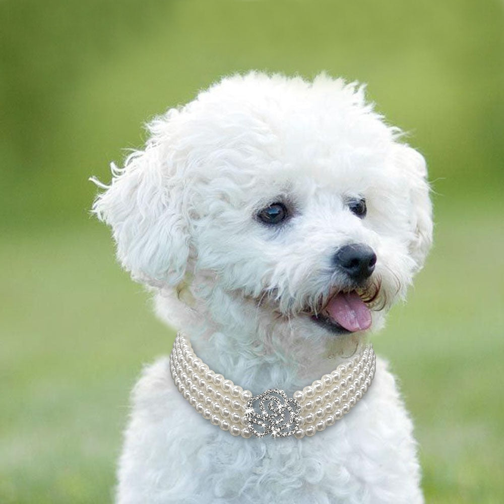 Pearl dog necklace collar- jeweled collar with bling rhinestone diamante - Lucky paws pet store