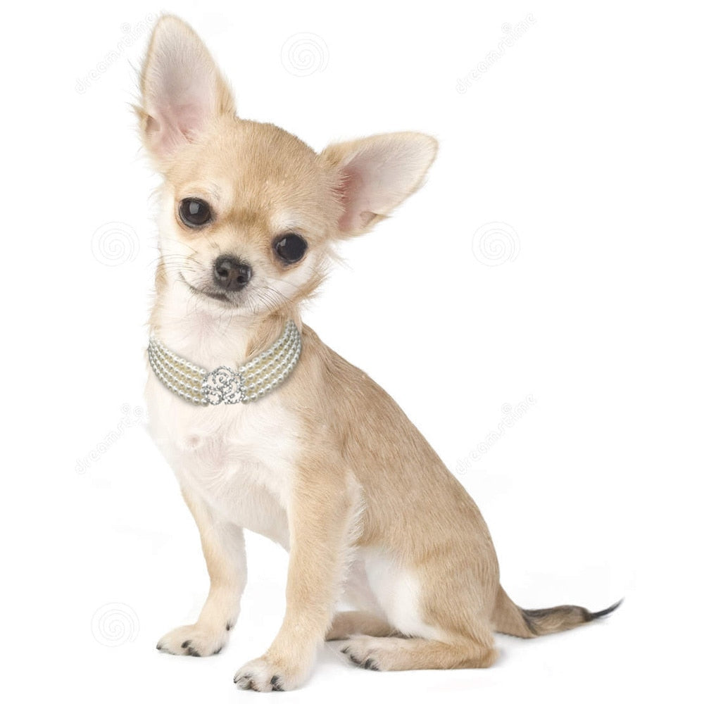 Pearl dog necklace collar- jeweled collar with bling rhinestone diamante - Lucky paws pet store