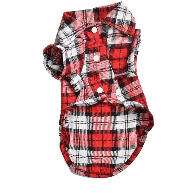 Summer dog t-shirt vest 100% cotton - Lucky paws pet store
