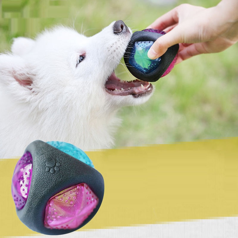 Luminous dog toy durable bouncy ball resistant - pet toys with sound & light - Lucky paws pet store