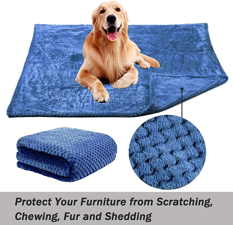 All-season fluffy dog blanket - throw pet blanket - Lucky paws pet store