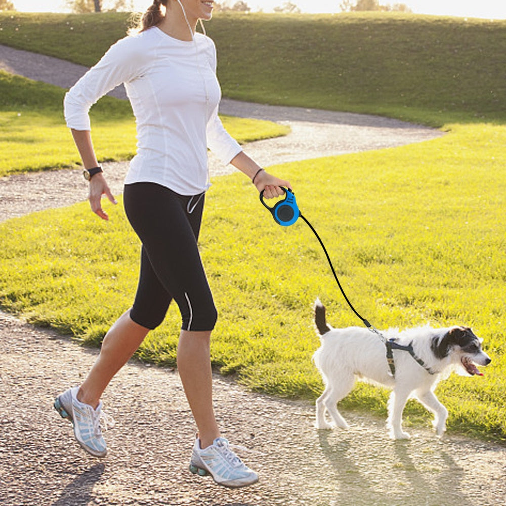 3M/5M Retractable dog leash automatic dog - Lucky paws pet store