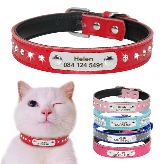 Leather collar personalized - name plate collar small dog/cat - Lucky paws pet store