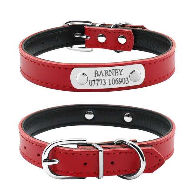 Leather collar personalized - name plate collar small dog/cat - Lucky paws pet store